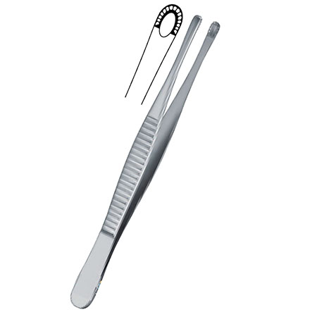 Pinza di durante german quality cm.15 