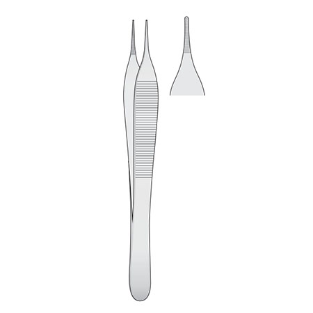 Pinzetta adson anatomica bontempi cm. 12 