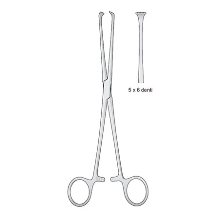 Pinza allis retta 5x6 denti bontempi cm. 15 