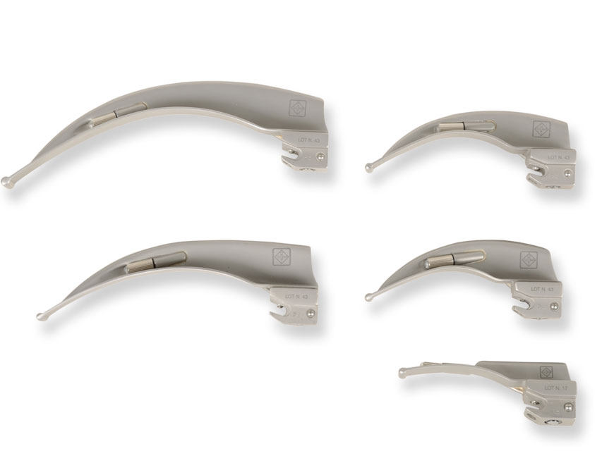 Lama mc-intosh grandezza 1 (gima)  