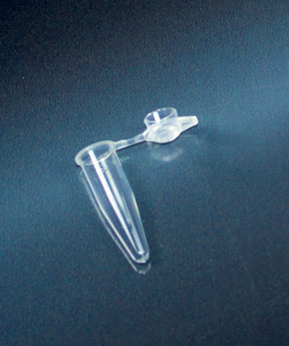 Provette per pcr da 0.2ml in pp con tappo a cupola conf 1000pz 