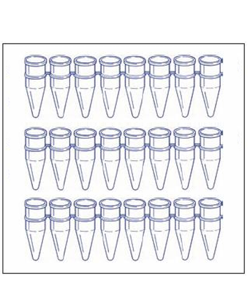 Strip da 8 provette per PCR da 0,2 ml in PP trasparente con tappo a cupola, pareti ultrasottili e fondo conico, ideali per amplificazioni.