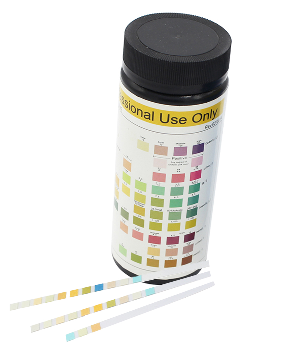 Strisce urinarie 10 parametri per l'analisi accurata delle urine. Risultati rapidi, lettura visiva o tramite lettore. Tubetto da 100 strisce.