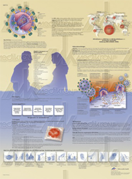 Tavola anatomica aids 50x67 