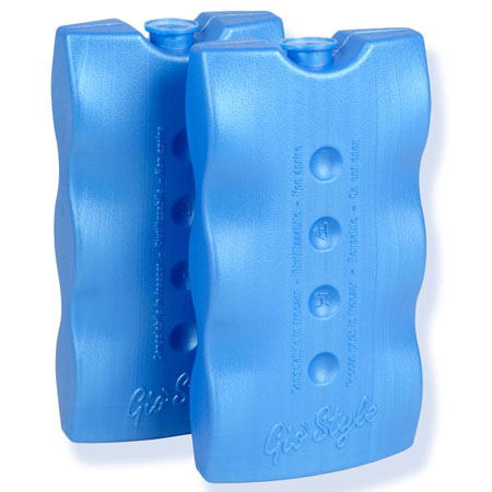 Panetto refrigerante x borsa termica pz 2 da 400 ml cad. 