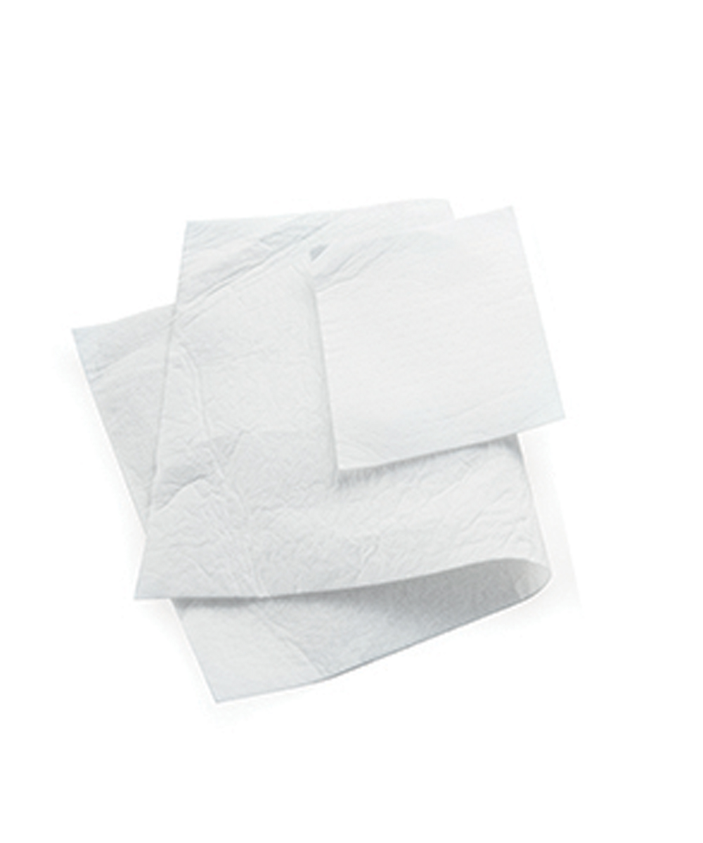 Foglio assorbente per sacchetto secondario 300x200mm 150ml cf 300pz 