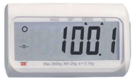 Dinamometro rs x solleva malati div. 100gr port.300kg alim. a batt,omol. 