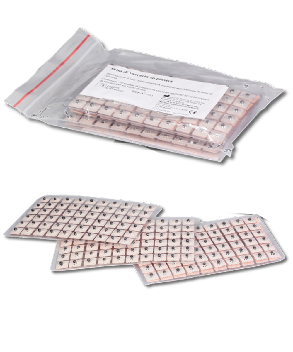 Semi di vaccaria su piastra per auricoloterapia conf 600pz 