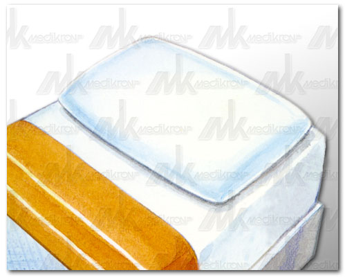 Federa in cotone 55x85 