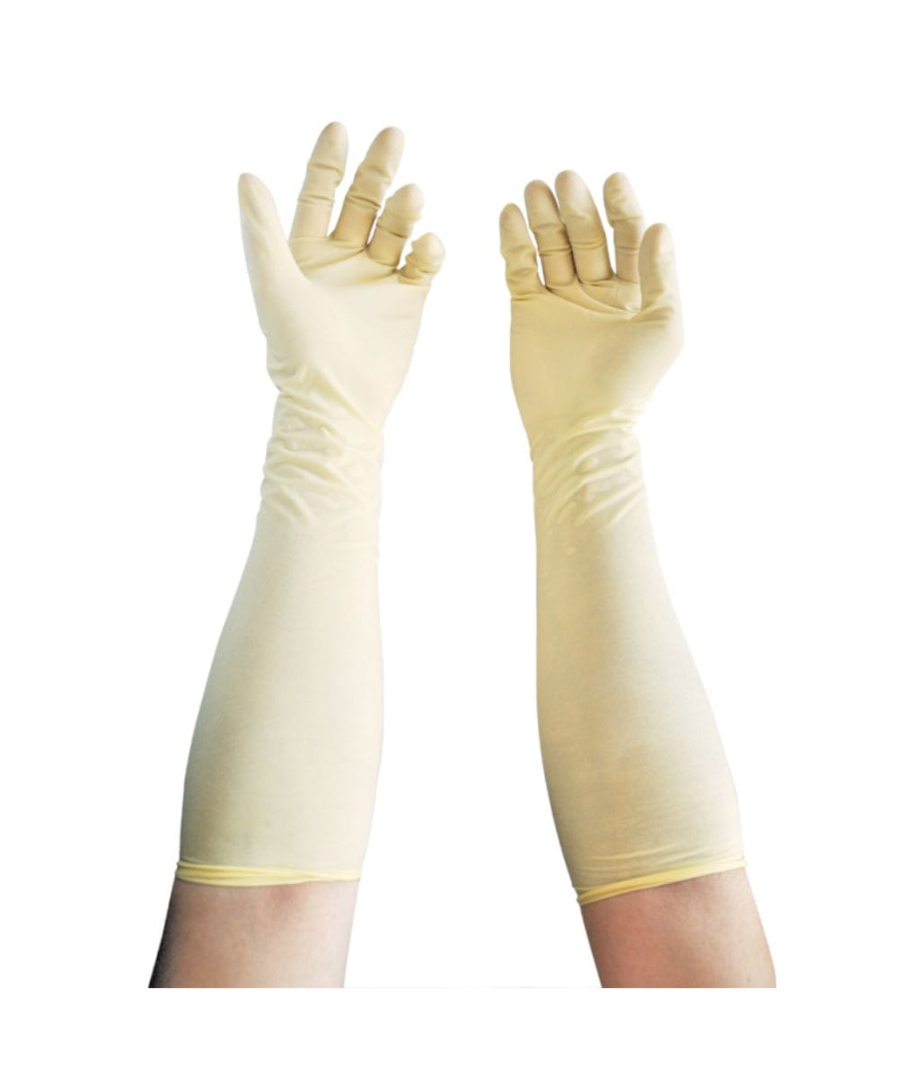 guanti sterili in lattice powder free misura 7.5 per ginecologia